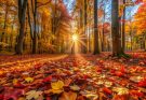 Llega el otoño; el cambio de estaciones contado para niños
